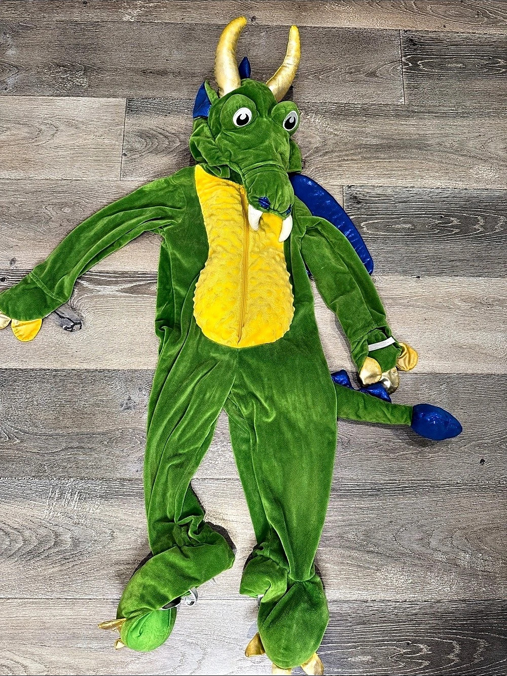 Spooky Dragon Halloween Costume Green & Blue Boys 4T